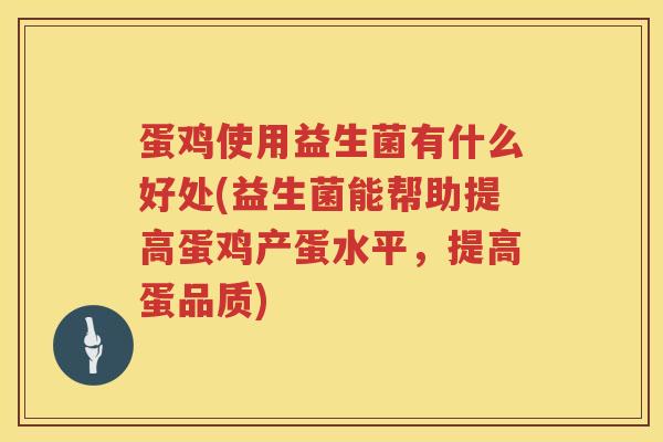 蛋鸡使用益生菌有什么好处(益生菌能帮助提高蛋鸡产蛋水平，提高蛋品质)