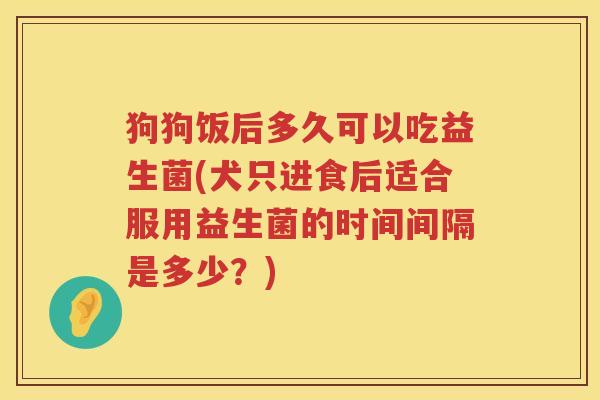 狗狗饭后多久可以吃益生菌(犬只进食后适合服用益生菌的时间间隔是多少?) 狗狗饭后多久可以吃益生菌(犬只进食后适合服用益生菌的时间间隔是多少?)
