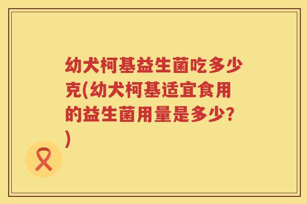 幼犬柯基益生菌吃多少克(幼犬柯基适宜食用的益生菌用量是多少?) 幼犬柯基益生菌吃多少克(幼犬柯基适宜食用的益生菌用量是多少?)