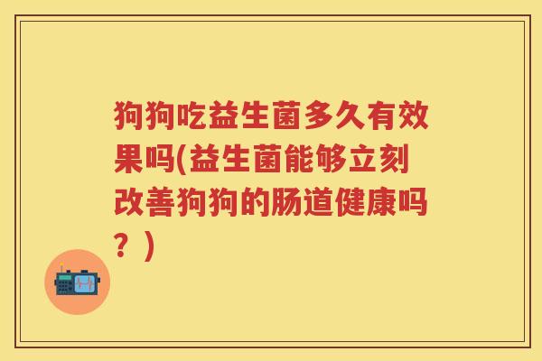 狗狗吃益生菌多久有效果吗(益生菌能够立刻改善狗狗的肠道健康吗?) 狗狗吃益生菌多久有效果吗(益生菌能够立刻改善狗狗的肠道健康吗?)