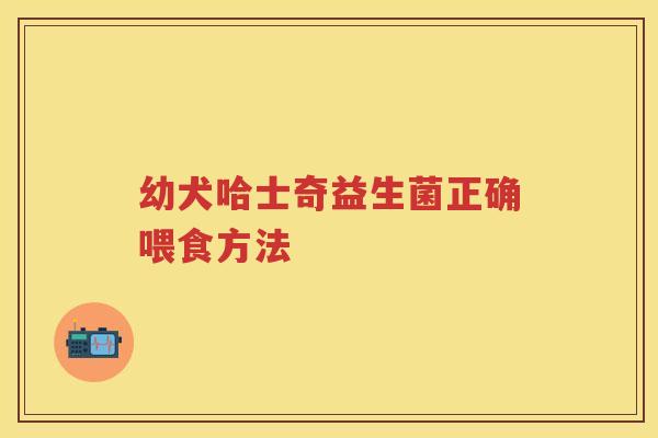 幼犬哈士奇益生菌正确喂食方法 幼犬哈士奇益生菌正确喂食方法