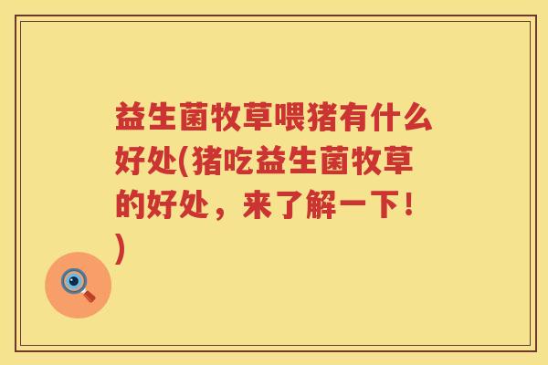 益生菌牧草喂猪有什么好处(猪吃益生菌牧草的好处,来了解一下!) 益生菌牧草喂猪有什么好处(猪吃益生菌牧草的好处,来了解一下!)