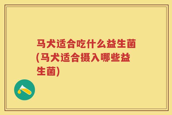 马犬适合吃什么益生菌(马犬适合摄入哪些益生菌) 马犬适合吃什么益生菌(马犬适合摄入哪些益生菌)