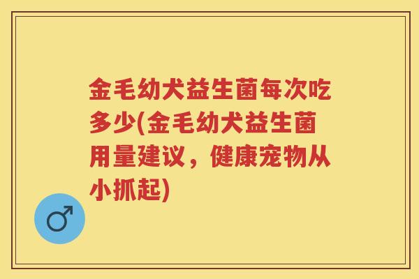金毛幼犬益生菌每次吃多少(金毛幼犬益生菌用量建议,健康宠物从小抓起) 金毛幼犬益生菌每次吃多少(金毛幼犬益生菌用量建议,健康宠物从小抓起)