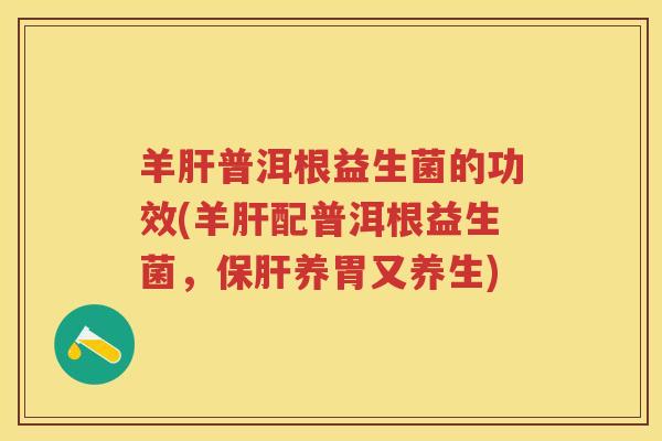 羊普洱根益生菌的功效(羊配普洱根益生菌,养胃又养生) 羊普洱根益生菌的功效(羊配普洱根益生菌,养胃又养生)