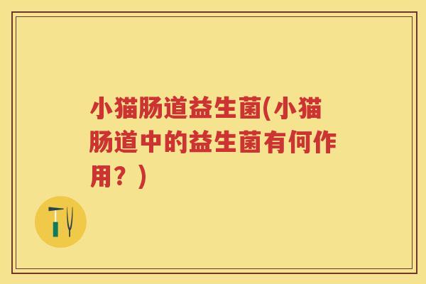 小猫肠道益生菌(小猫肠道中的益生菌有何作用？)