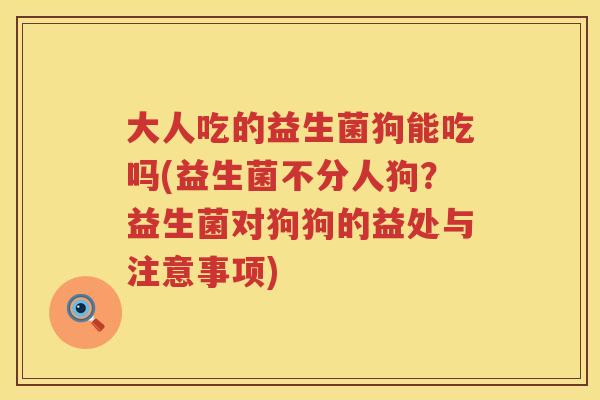 大人吃的益生菌狗能吃吗(益生菌不分人狗?益生菌对狗狗的益处与注意事项) 大人吃的益生菌狗能吃吗(益生菌不分人狗?益生菌对狗狗的益处与注意事项)