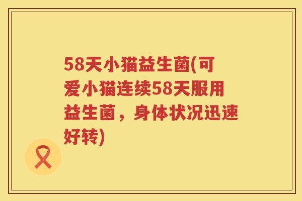 58天小猫益生菌(可爱小猫连续58天服用益生菌，身体状况迅速好转)