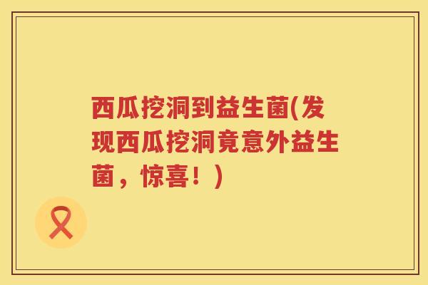 西瓜挖洞到益生菌(发现西瓜挖洞竟意外益生菌,惊喜!) 西瓜挖洞到益生菌(发现西瓜挖洞竟意外益生菌,惊喜!)