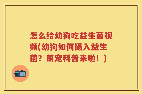 怎么给幼狗吃益生菌视频(幼狗如何摄入益生菌？萌宠科普来啦！)