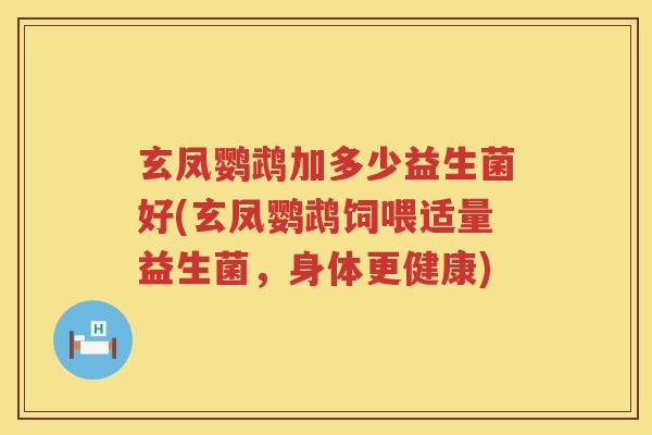 玄凤鹦鹉加多少益生菌好(玄凤鹦鹉饲喂适量益生菌，身体更健康)