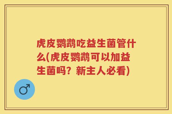 虎皮鹦鹉吃益生菌管什么(虎皮鹦鹉可以加益生菌吗？新主人必看)