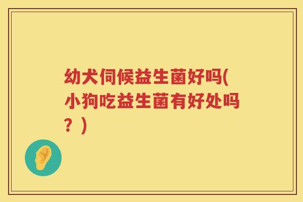幼犬伺候益生菌好吗(小狗吃益生菌有好处吗?) 幼犬伺候益生菌好吗(小狗吃益生菌有好处吗?)
