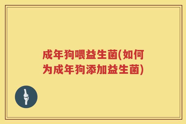 成年狗喂益生菌(如何为成年狗添加益生菌)
