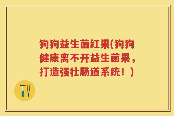 狗狗益生菌红果(狗狗健康离不开益生菌果,打造强壮肠道系统!) 狗狗益生菌红果(狗狗健康离不开益生菌果,打造强壮肠道系统!)