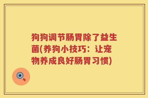 狗狗调节肠胃除了益生菌(养狗小技巧:让宠物养成良好肠胃习惯) 狗狗调节肠胃除了益生菌(养狗小技巧:让宠物养成良好肠胃习惯)
