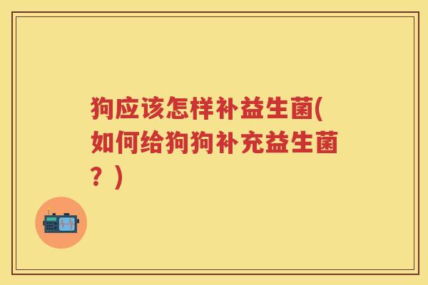 狗应该怎样补益生菌(如何给狗狗补充益生菌?) 狗应该怎样补益生菌(如何给狗狗补充益生菌?)
