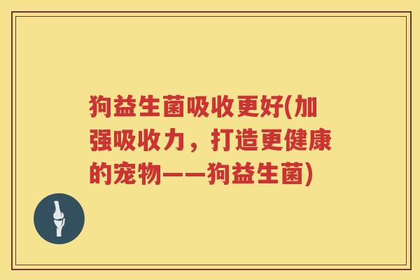 狗益生菌吸收更好(加强吸收力，打造更健康的宠物——狗益生菌)