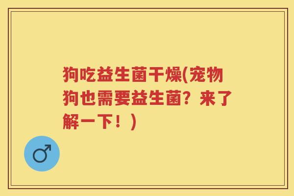 狗吃益生菌干燥(宠物狗也需要益生菌？来了解一下！)