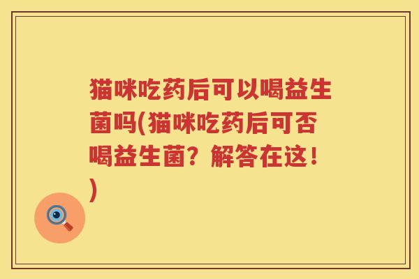猫咪吃药后可以喝益生菌吗(猫咪吃药后可否喝益生菌？解答在这！)
