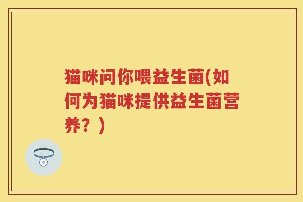 猫咪问你喂益生菌(如何为猫咪提供益生菌营养?) 猫咪问你喂益生菌(如何为猫咪提供益生菌营养?)