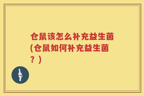 仓鼠该怎么补充益生菌(仓鼠如何补充益生菌?) 仓鼠该怎么补充益生菌(仓鼠如何补充益生菌?)