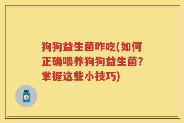 狗狗益生菌咋吃(如何正确喂养狗狗益生菌?掌握这些小技巧) 狗狗益生菌咋吃(如何正确喂养狗狗益生菌?掌握这些小技巧)