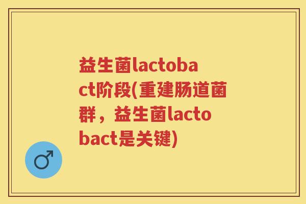益生菌lactobact阶段(重建肠道菌群,益生菌lactobact是关键) 益生菌lactobact阶段(重建肠道菌群,益生菌lactobact是关键)