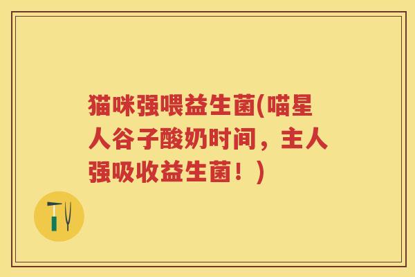 猫咪强喂益生菌(喵星人谷子酸奶时间，主人强吸收益生菌！)