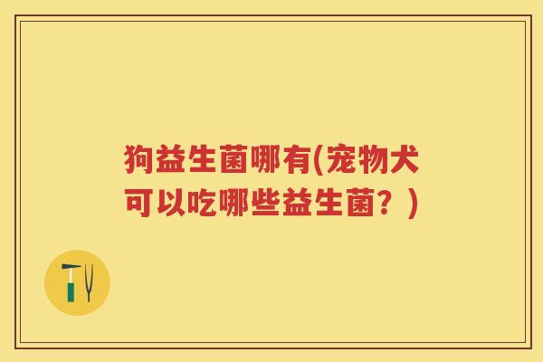 狗益生菌哪有(宠物犬可以吃哪些益生菌?) 狗益生菌哪有(宠物犬可以吃哪些益生菌?)
