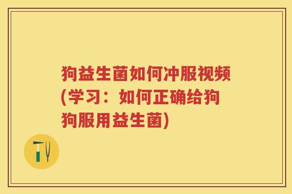 狗益生菌如何冲服视频(学习：如何正确给狗狗服用益生菌)