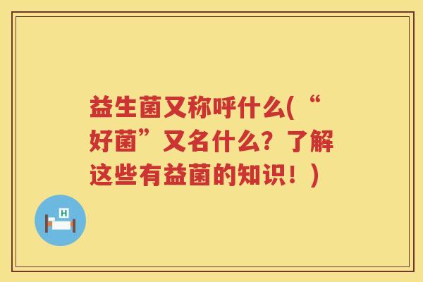 益生菌又称呼什么(“好菌”又名什么?了解这些有益菌的知识!) 益生菌又称呼什么(“好菌”又名什么?了解这些有益菌的知识!)