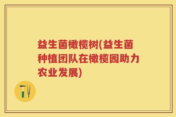 益生菌橄榄树(益生菌种植团队在橄榄园助力农业发展) 益生菌橄榄树(益生菌种植团队在橄榄园助力农业发展)