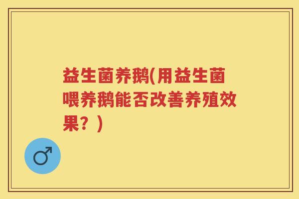 益生菌养鹅(用益生菌喂养鹅能否改善养殖效果？)