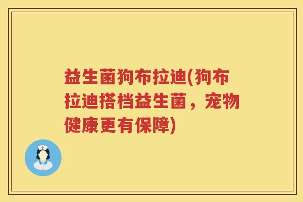 益生菌狗布拉迪(狗布拉迪搭档益生菌,宠物健康更有保障) 益生菌狗布拉迪(狗布拉迪搭档益生菌,宠物健康更有保障)