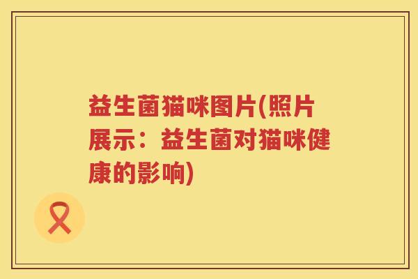 益生菌猫咪图片(照片展示:益生菌对猫咪健康的影响) 益生菌猫咪图片(照片展示:益生菌对猫咪健康的影响)