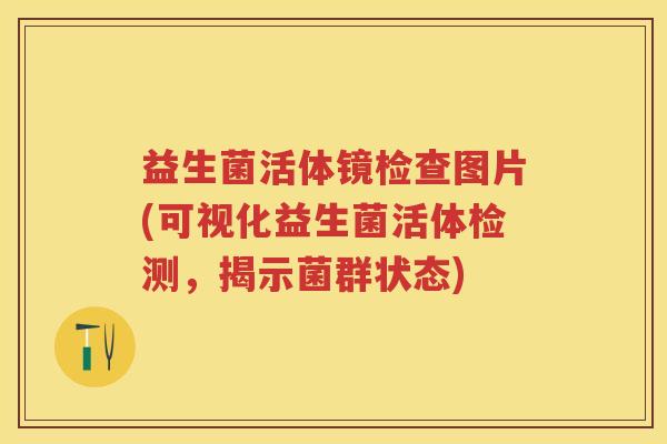 益生菌活体镜检查图片(可视化益生菌活体检测，揭示菌群状态)