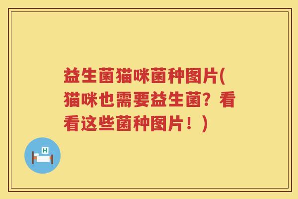 益生菌猫咪菌种图片(猫咪也需要益生菌?看看这些菌种图片!) 益生菌猫咪菌种图片(猫咪也需要益生菌?看看这些菌种图片!)