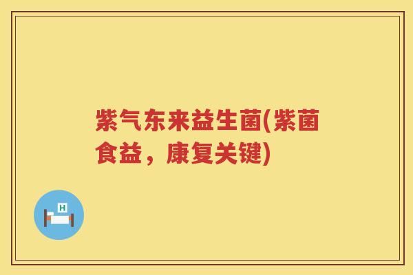 紫气东来益生菌(紫菌食益,康复关键) 紫气东来益生菌(紫菌食益,康复关键)