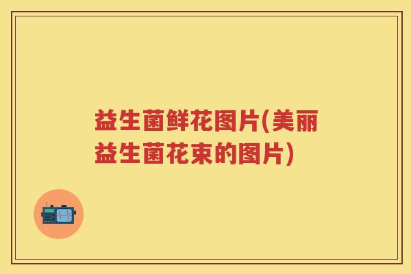益生菌鲜花图片(美丽益生菌花束的图片) 益生菌鲜花图片(美丽益生菌花束的图片)