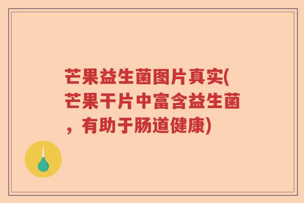 芒果益生菌图片真实(芒果干片中富含益生菌,有助于肠道健康) 芒果益生菌图片真实(芒果干片中富含益生菌,有助于肠道健康)