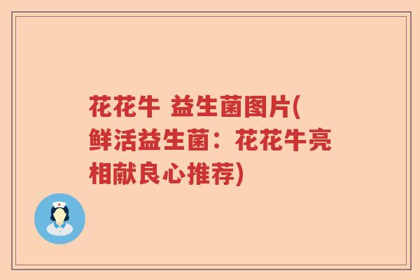 花花牛 益生菌图片(鲜活益生菌:花花牛亮相献良心推荐) 花花牛 益生菌图片(鲜活益生菌:花花牛亮相献良心推荐)