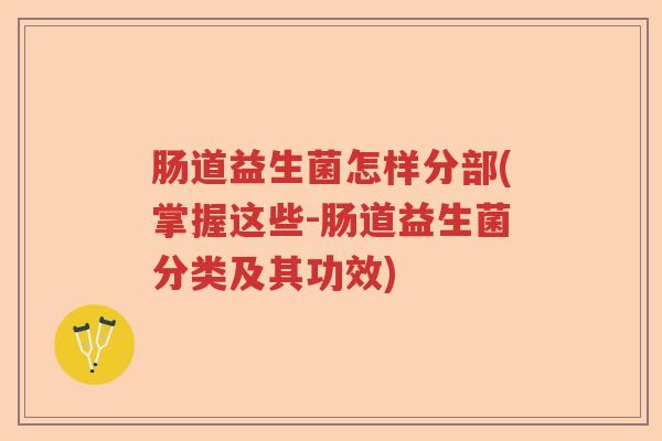 肠道益生菌怎样分部(掌握这些-肠道益生菌分类及其功效)