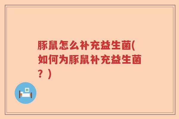 豚鼠怎么补充益生菌(如何为豚鼠补充益生菌?) 豚鼠怎么补充益生菌(如何为豚鼠补充益生菌?)