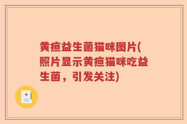 黄疸益生菌猫咪图片(照片显示黄疸猫咪吃益生菌，引发关注)