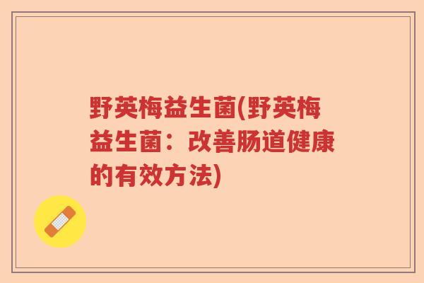野英梅益生菌(野英梅益生菌：改善肠道健康的有效方法)