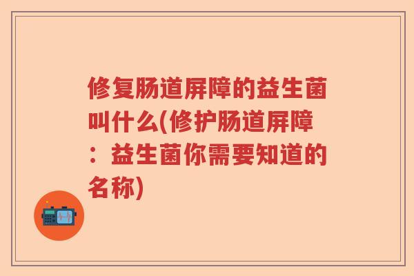 修复肠道屏障的益生菌叫什么(修护肠道屏障:益生菌你需要知道的名称) 修复肠道屏障的益生菌叫什么(修护肠道屏障:益生菌你需要知道的名称)