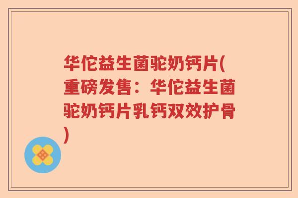 华佗益生菌驼奶钙片(重磅发售:华佗益生菌驼奶钙片乳钙双效护骨) 华佗益生菌驼奶钙片(重磅发售:华佗益生菌驼奶钙片乳钙双效护骨)