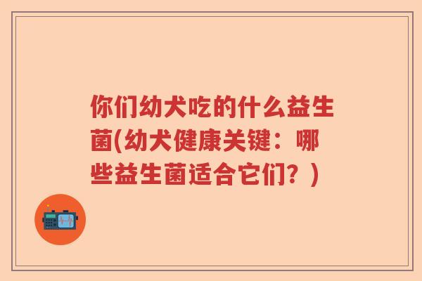 你们幼犬吃的什么益生菌(幼犬健康关键：哪些益生菌适合它们？)