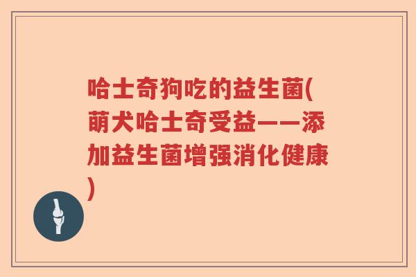哈士奇狗吃的益生菌(萌犬哈士奇受益——添加益生菌增强消化健康)